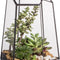 Geometric Glass Terrarium Planter for Succulent, Small Cacti - 6.5" X 5.7" X 9.8" Black Irregular Opened Container Pot, Indoor Home Garden Office Tabletop Decor (No Plants, No Door)